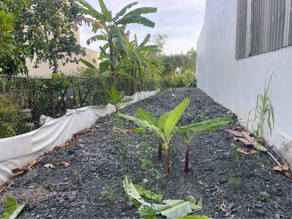 Đất nền đường Tạ Uyên, Phường An Xuyên, 96m² giá 1.68 tỷ - Vị trí đẹp, đầu tư sinh lời!