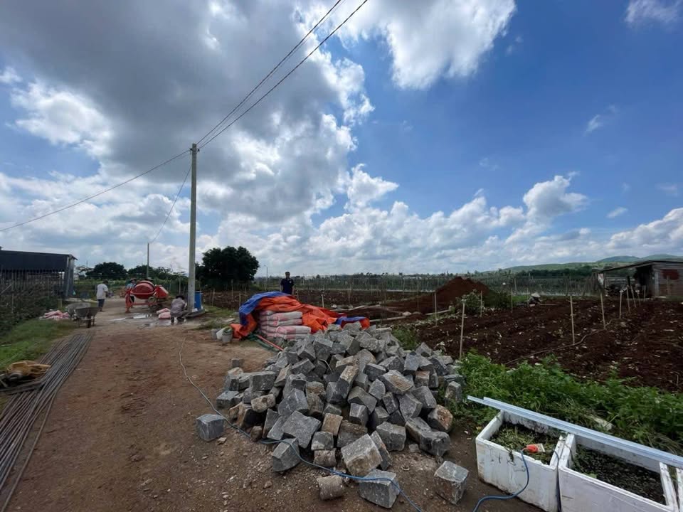 Đất Tân Hội, Đức Trọng 114m² giá 895 triệu - Cơ hội đầu tư hấp dẫn!