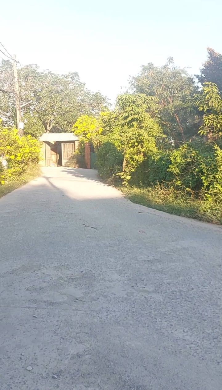 Bán đất ấp Rừng Sến, Đức Hòa, Long An 440m² giá 4 tỷ - Dòng tiền ổn định từ nhà trọ