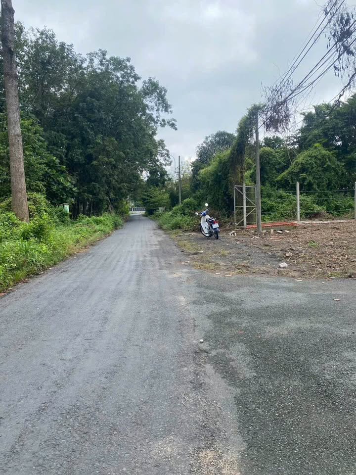 Đất nền Phú Hòa Đông 200m² giá 1.85 tỷ - Đầu tư sinh lời hấp dẫn!