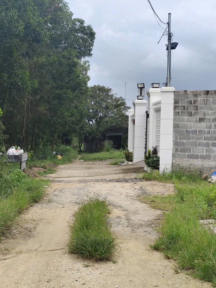 Đất nền góc 2 mặt tiền tại Mỹ Xuân 125m² giá 1.45 tỷ - Cơ hội đầu tư sinh lời!