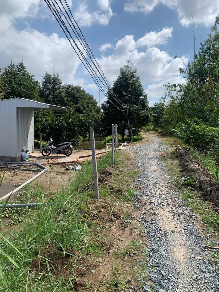 Đất trồng sầu riêng và ổi Nữ Hoàng tại An Khánh, 2700m² giá 1.3 tỷ - Cơ hội đầu tư tuyệt vời!