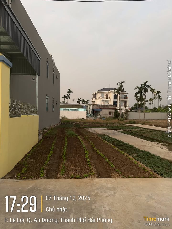 Lô đất đẹp 60m² Tràng Duệ, Lê Lợi, An Dương - Giá chỉ 1.1 tỷ!