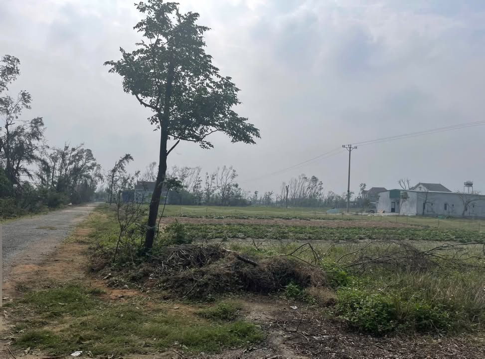 Đất nền mặt đường Quốc Hương 242m² - Gần biển Xuân Thành, giá chỉ 1x triệu/m²!