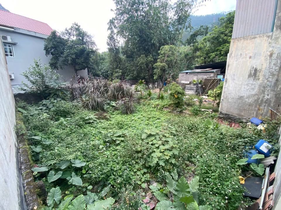 Đất nền Cẩm Thạch 103m² giá 595 triệu - Cơ hội đầu tư hấp dẫn!