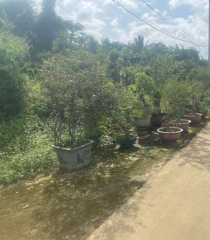 Đất thổ cư Diên Đồng 639m² giá 5.6 tỷ - Gần uỷ ban, trường học!