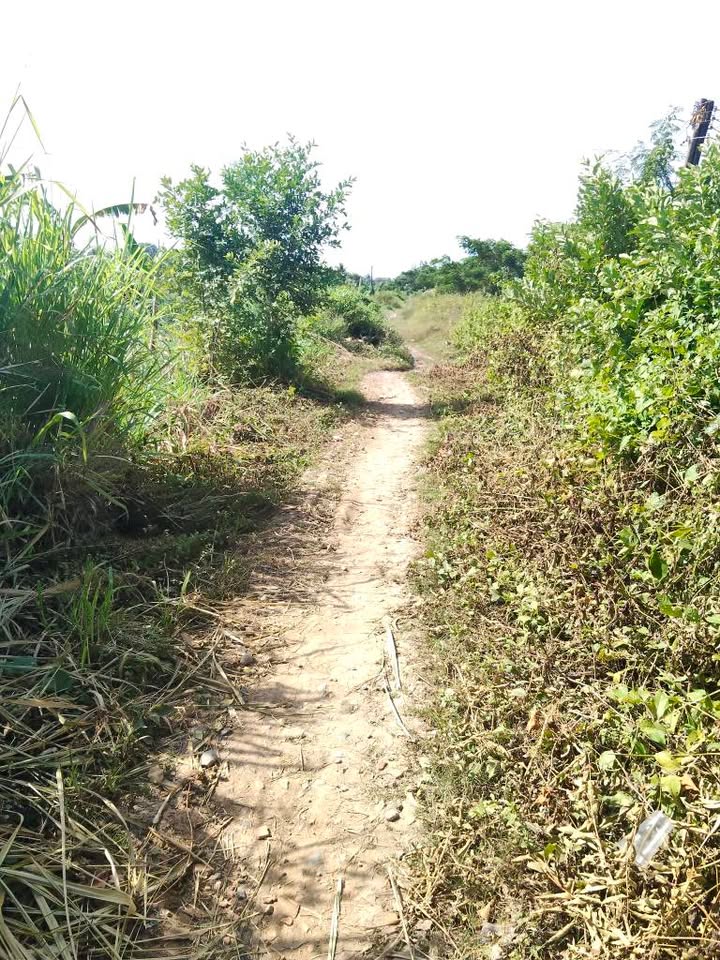 Đất mặt tiền lộ đá 600m² tại Sóc Trăng - Chính chủ bán gấp chỉ 800 triệu!