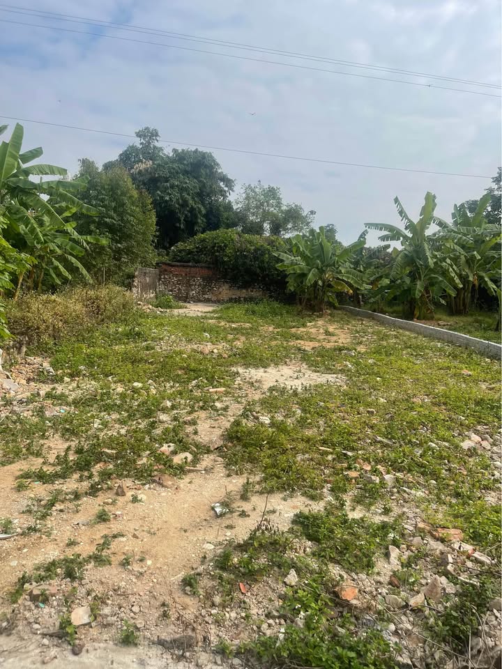 Đất thổ cư chính chủ thôn Ngàn Ván, xã An Dương, 128m² - Gần trung tâm Tân Yên!