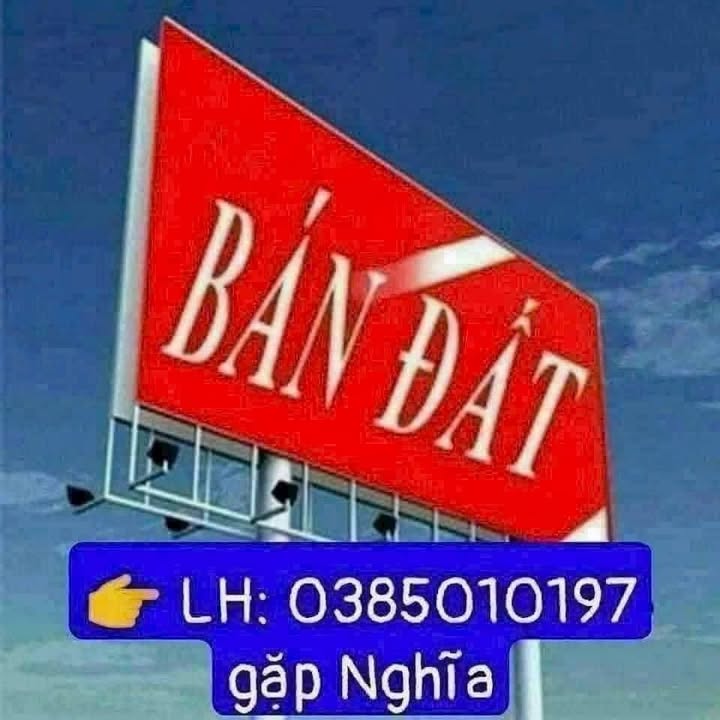 Đất mặt tiền đường lộ nhựa tại An Hội, Vĩnh Long 587m² giá chỉ 550 triệu - Đầu tư sinh lời ngay!