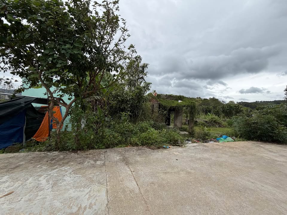 Đất nền Suối Cát, Cam Lâm 100m² giá 720 triệu - Đường ô tô tận nơi!