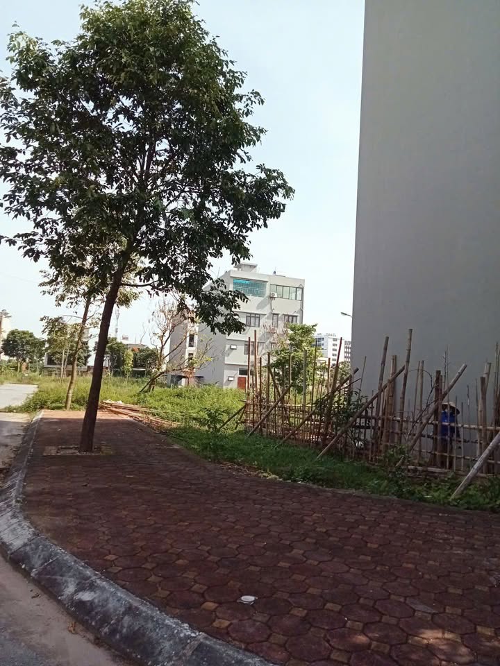 Đất lô góc CL37 ĐT Mỹ Trung 61.7m² giá 3.3 tỷ - Cơ hội đầu tư hấp dẫn!