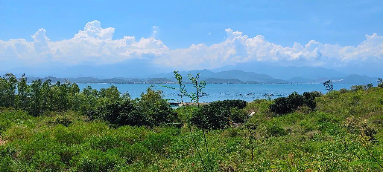 Đất nền Ninh Hải, Ninh Hòa 5500m² - Giá đầu tư hấp dẫn!