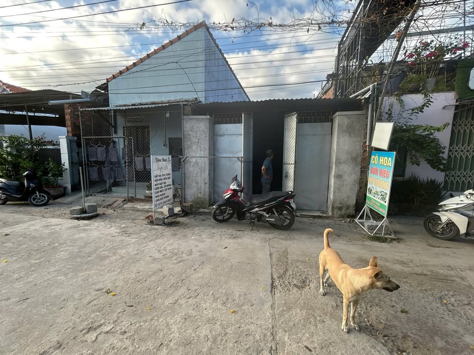 Đất biển Ninh Diêm 270m² giá chỉ 1xx triệu/m² - Đầu tư sinh lời ngay!