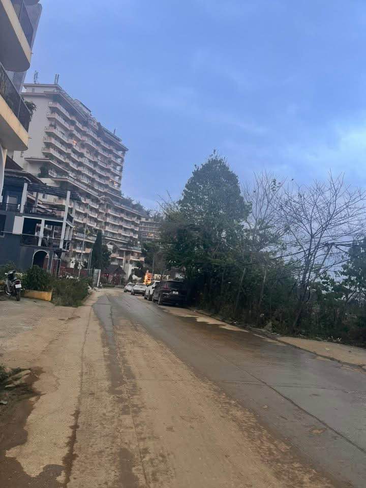 Đất VIP mặt đường Violet Sa Pa 455m² giá 30 tỷ - Cơ hội đầu tư hấp dẫn!