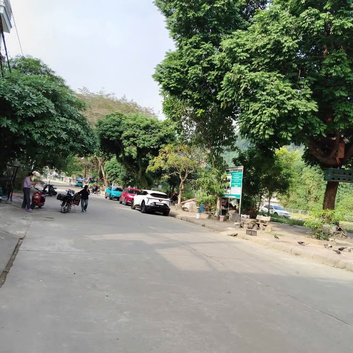 Nhà cấp 4 đường Phan Bôi Châu, Lào Cai 105m² - Giá chỉ 1.9 tỷ!