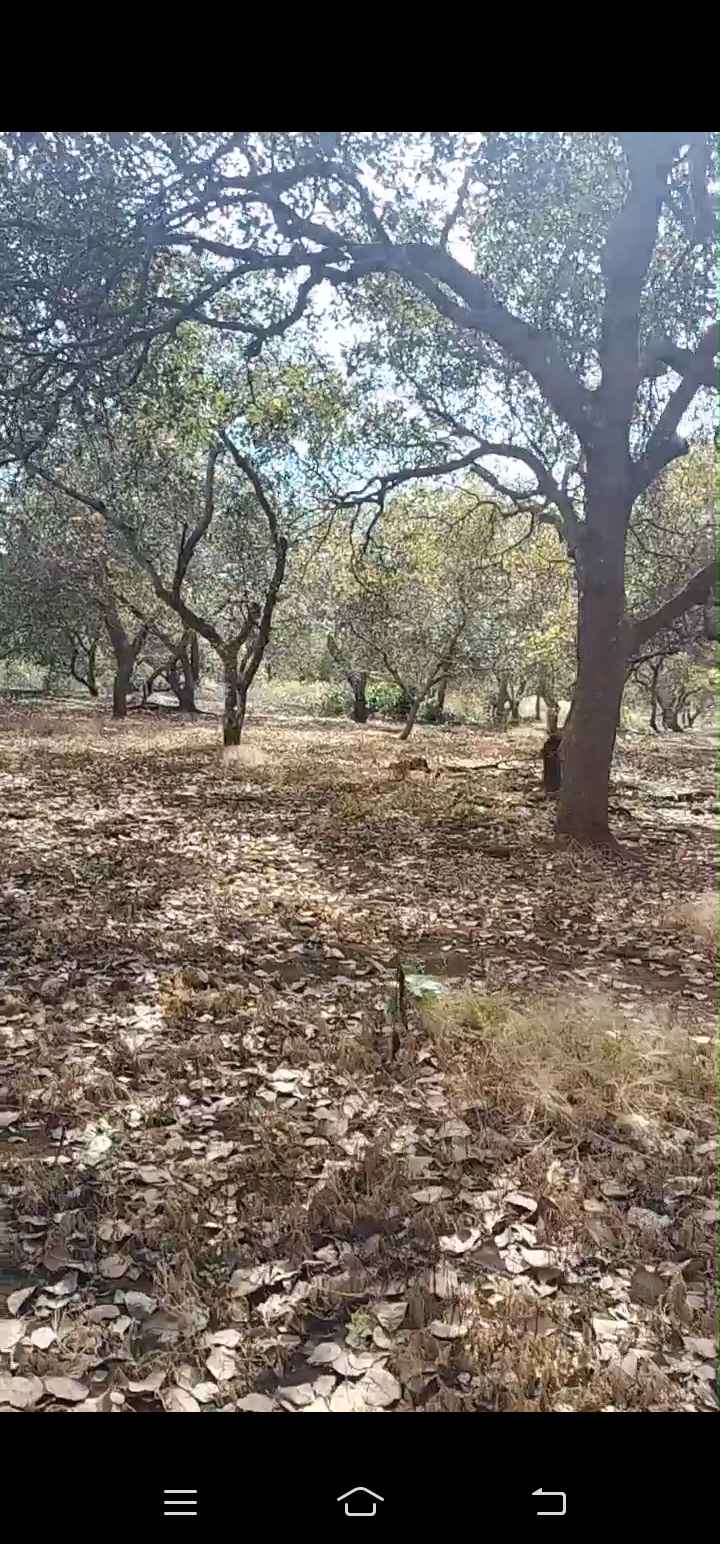 Đất nền Tân Hưng Đồng Phú 27.000m² giá 1.5 tỷ - Đường bê tông rộng 120m