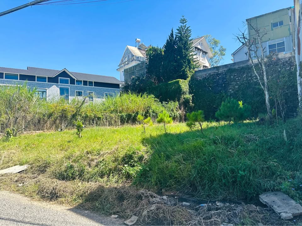 Bán lô biệt thự đường Lý Nam Đế, Đà Lạt 540m² - Đầu tư sinh lời tiềm năng!