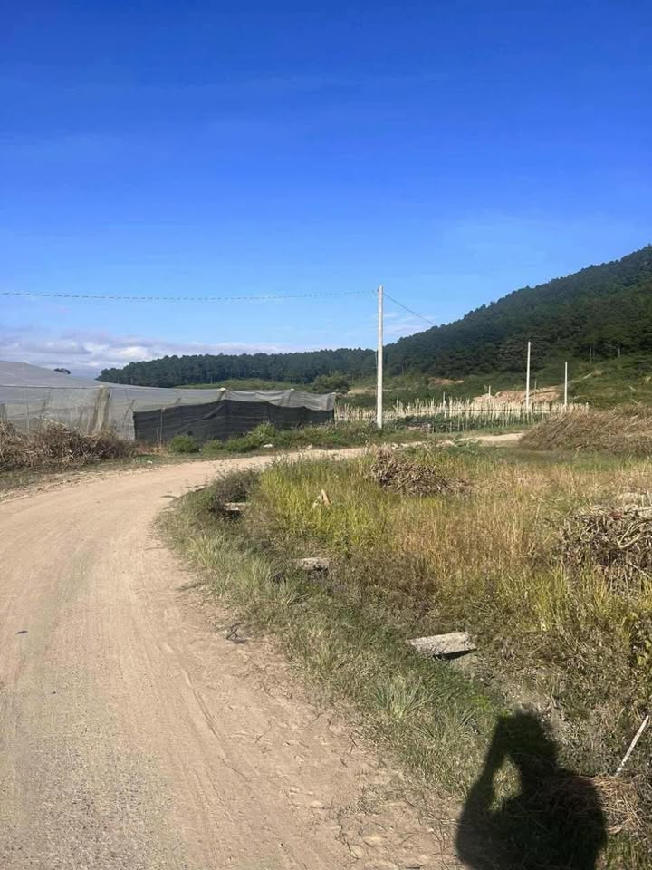 Đất nền Quảng Lập, Đơn Dương 1800m² giá 850 triệu - Cơ hội đầu tư sinh lời!