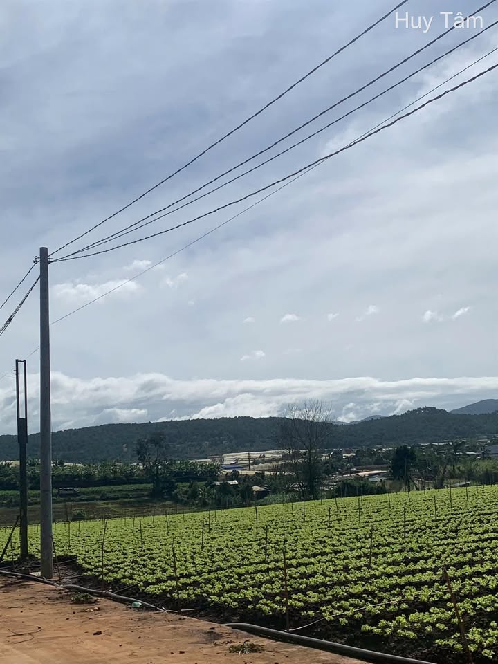 Đất thổ cư 72m² tại Xã Đạ Ròn, Đơn Dương - Giá chỉ 780 triệu, sổ riêng chính chủ!