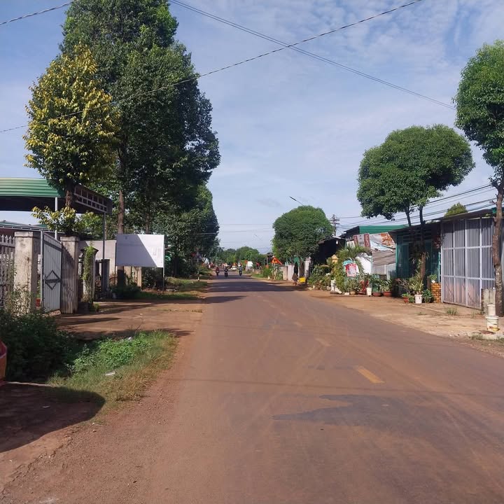 Đất nền 2 mặt tiền tỉnh lộ 5 Buôn Đôn 2500m² giá 2.1 tỷ - Khu vực kinh doanh sầm uất!