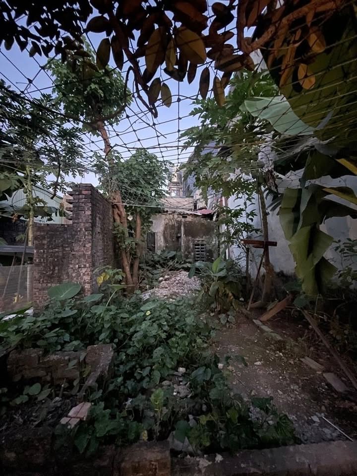 Đất nền 39m² đường Đại Từ, quận Hoàng Mai chỉ 1.15 tỷ - Cơ hội đầu tư hấp dẫn!