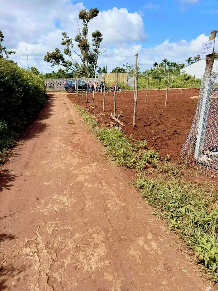 Đất góc 2 mặt tiền Hòa Thắng 123m² giá 1.25 tỷ - Đầu tư sinh lời ngay!