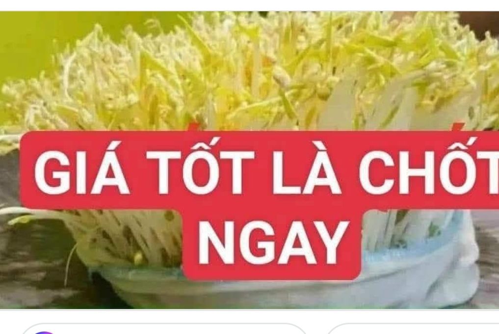 Đất nền sổ hồng riêng ĐT 7, xã Đông Thạnh, Hóc Môn 88m² giá 1.8 tỷ - Cơ hội đầu tư tuyệt vời!