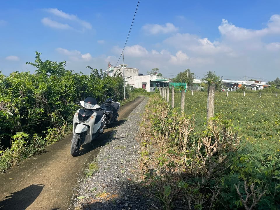 Đất nền 2000m² Phước Hậu, Cần Giuộc, Long An - Giá 6.2 tỷ, Thương lượng tốt!