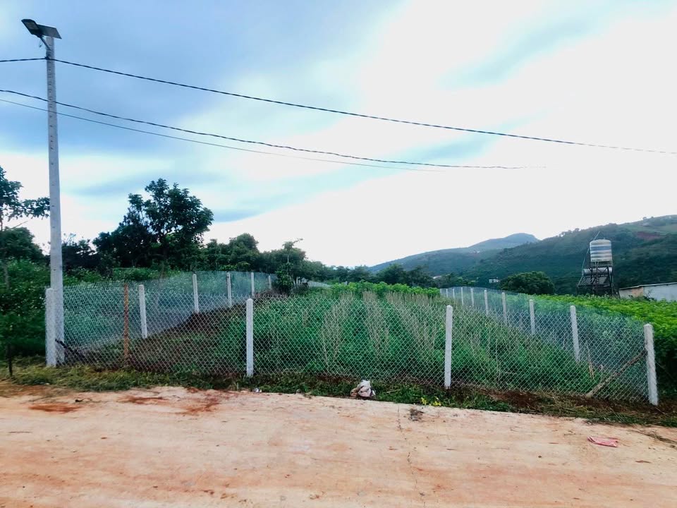 Đất nền đẹp tại Nam Ban, Lâm Hà 902m² chỉ 2.3 tỷ - Cơ hội đầu tư sinh lời!