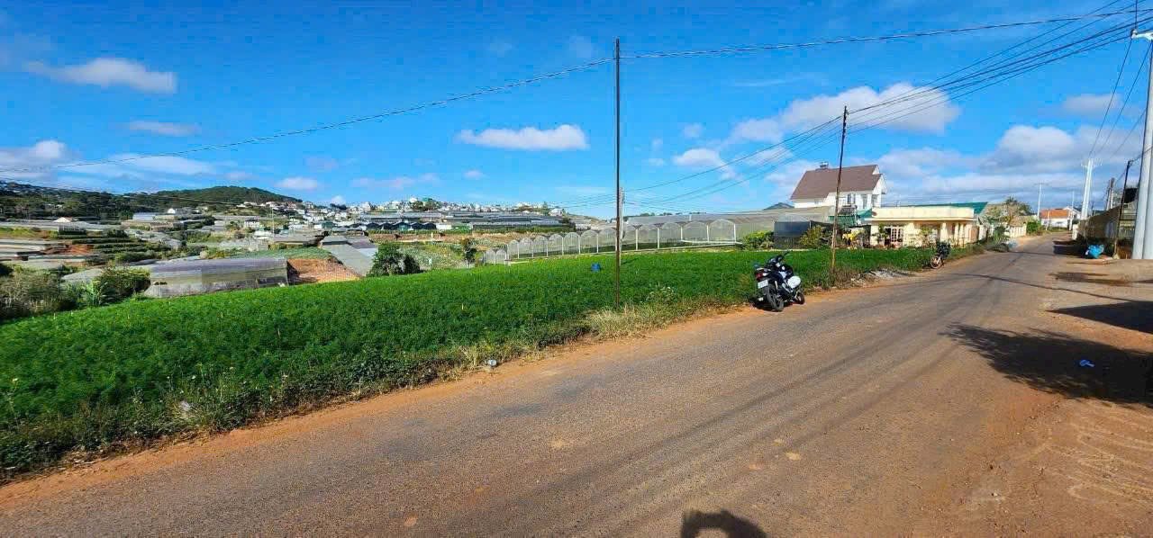 Đất thổ cư Xuân Thọ, Đà Lạt 5050m² giá 65.65 tỷ - Đầu tư hiệu quả!