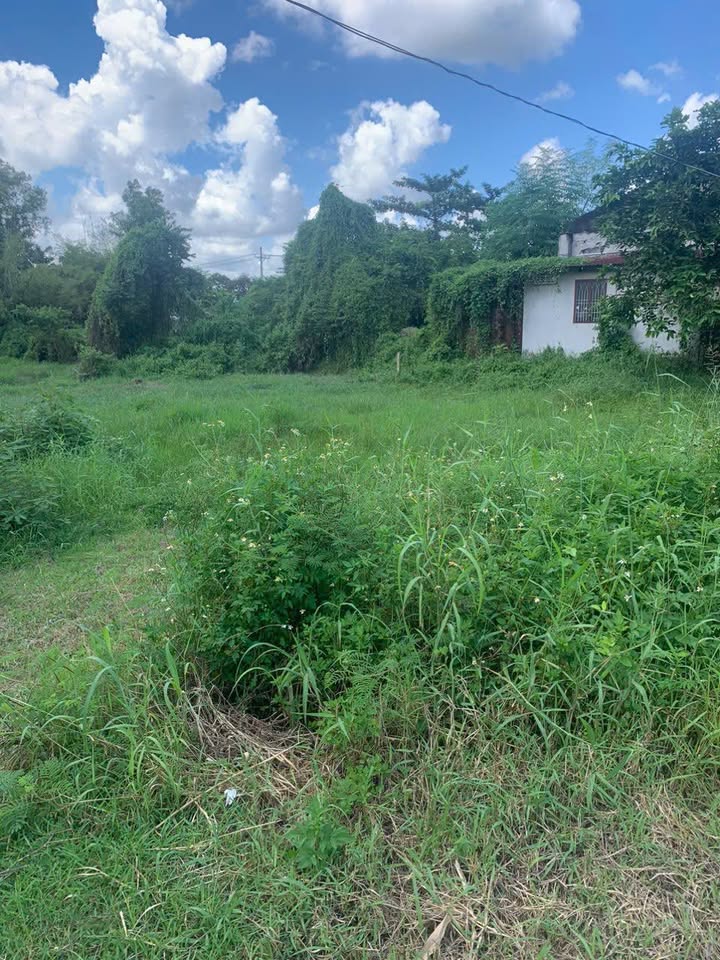 Đất thổ cư 200m² Phước Hiệp Củ Chi 1000m² giá 3 tỷ - Bớt lộc ngay hôm nay!