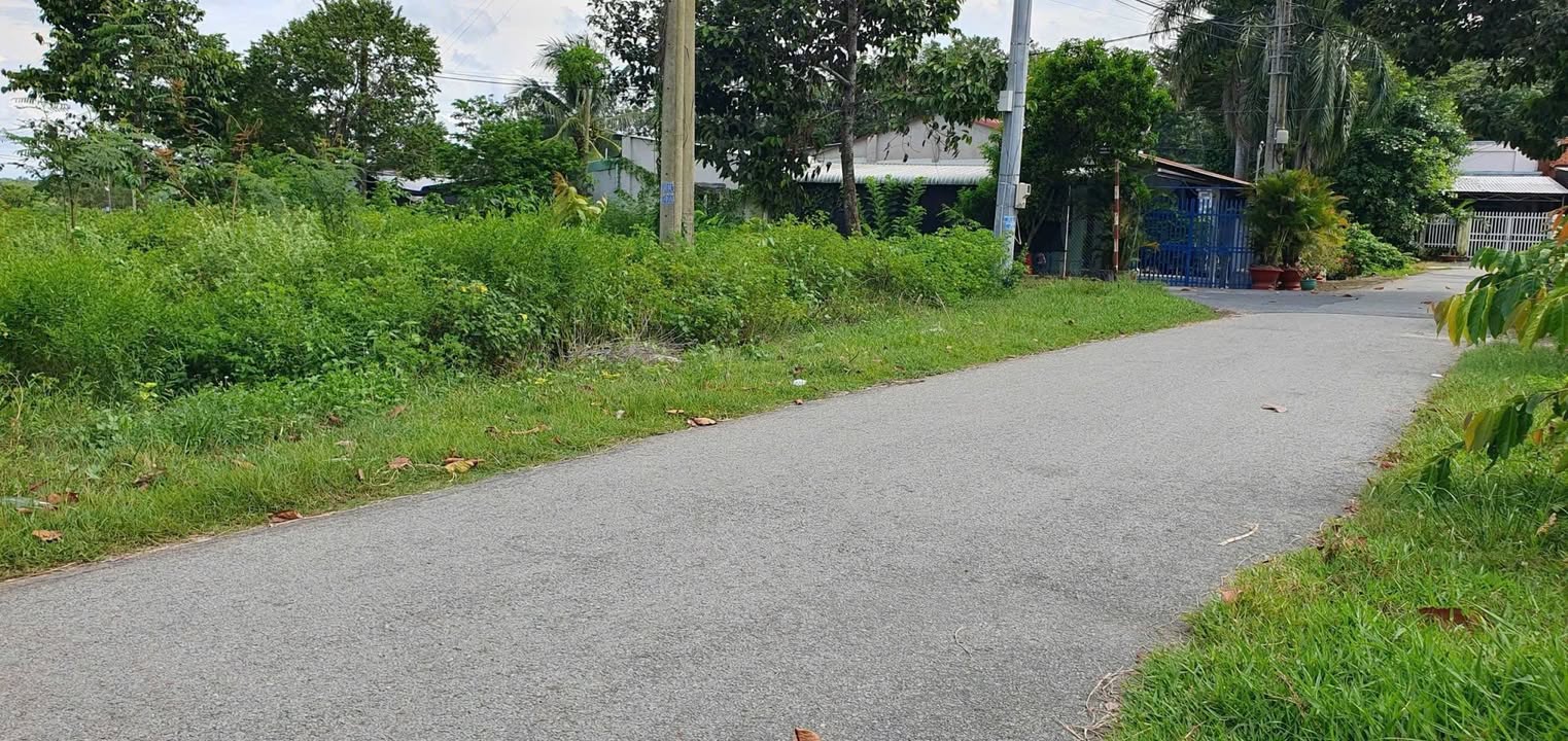 Đất thổ cư 720m² xã Thái Mỹ, Củ Chi - Địa điểm lý tưởng cho nhà vườn!
