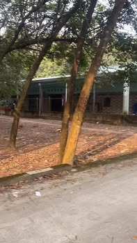 Đất xây trọ tại Tân Khánh, Thủ Đức 564,6m² giá chỉ 3,5 tỷ - Cơ hội đầu tư hấp dẫn!