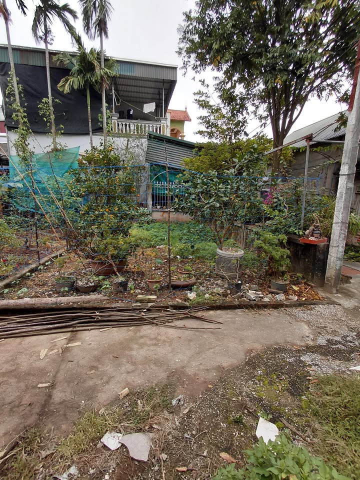 Đất lô góc Nam Phong 40,3m² giá chỉ 1 tỷ - Đỗ ô tô cửa