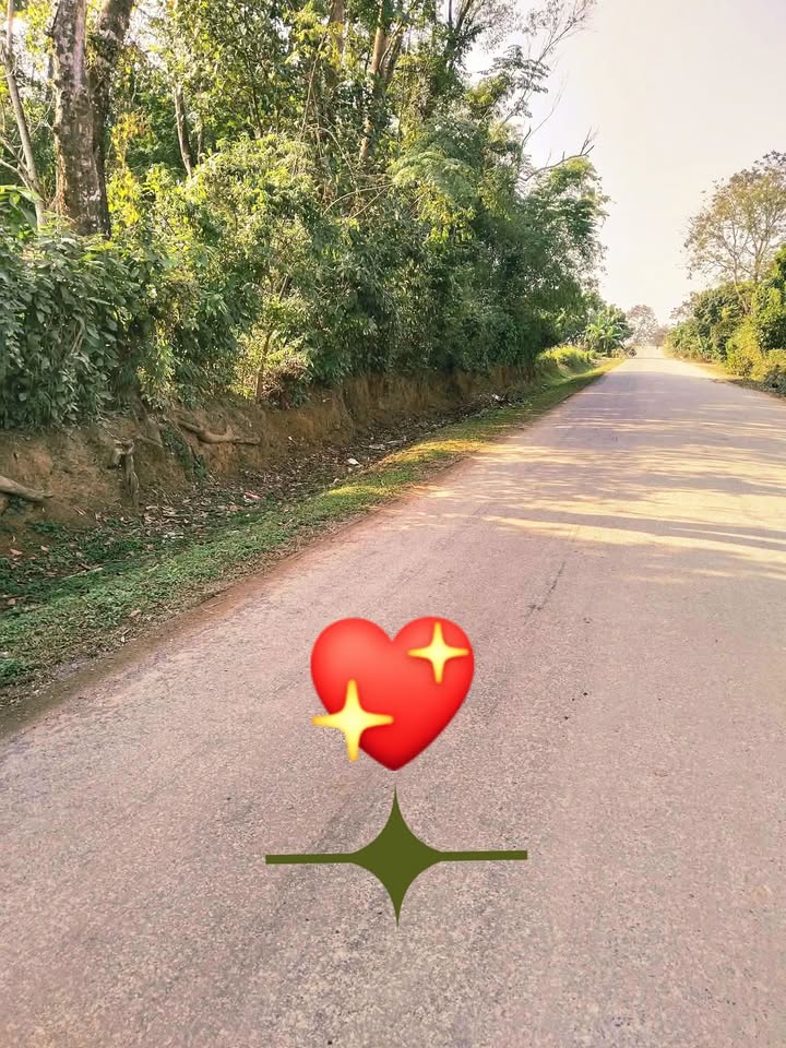 Đất thổ cư chính chủ tại Quý Lộc, Yên Định, Thanh Hóa - 180m² giá thỏa thuận!