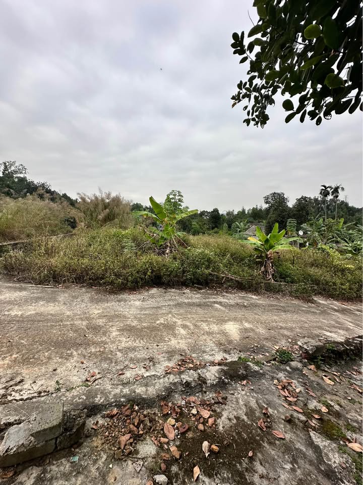 Đất nghĩa trang gia đình 500m² xã Việt Khê - Giá chỉ 200 triệu VND