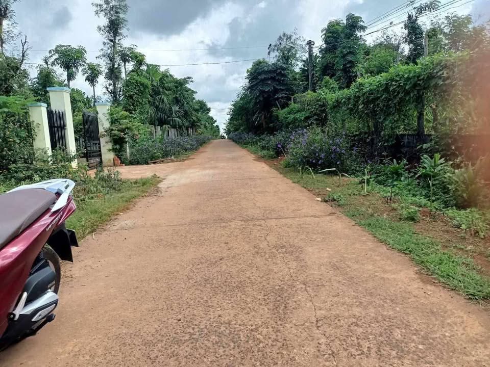 Đất thổ cư xã Ea Tar 250m² giá 250 triệu - Cơ hội đầu tư tuyệt vời!