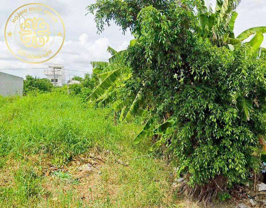 Đất mặt tiền đường Võ Thị Hồng, TP. Cà Mau 282m² - Pháp lý rõ ràng, sổ đỏ chính chủ!