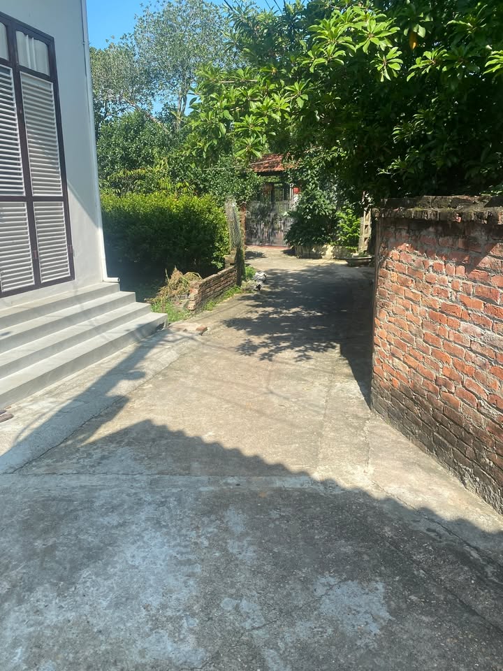 Đất nền Tích Giang 69m² giá 1.4 tỷ - Mặt tiền 5m, lô góc đẹp!