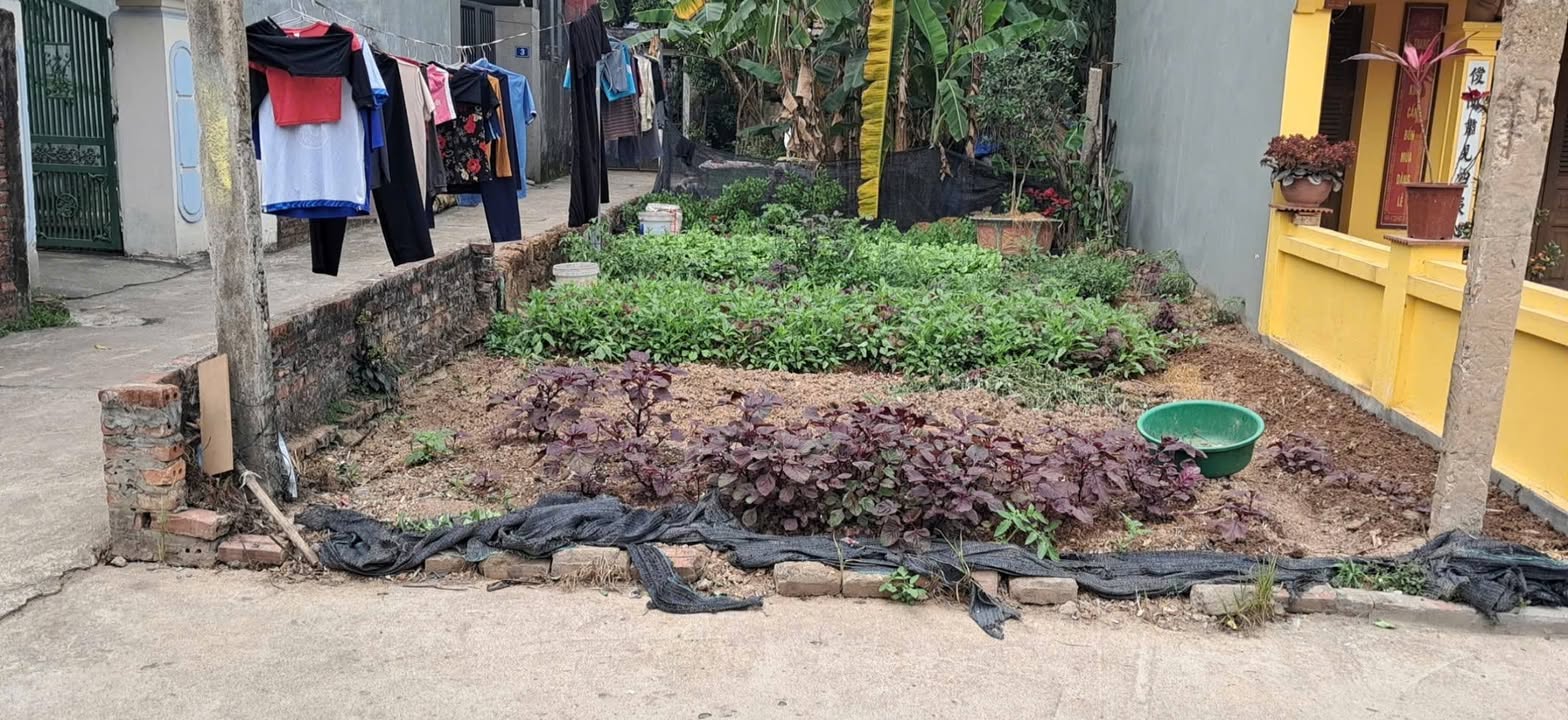 Đất nền Tích Giang Phúc Thọ 55m² giá 1 tỷ - Lô góc 2 mặt tiền tiện lợi!