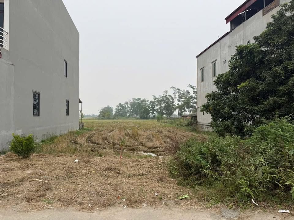 Đất thổ cư Lâm Thao Bắc Ninh 100m² - Cơ hội đầu tư tuyệt vời!