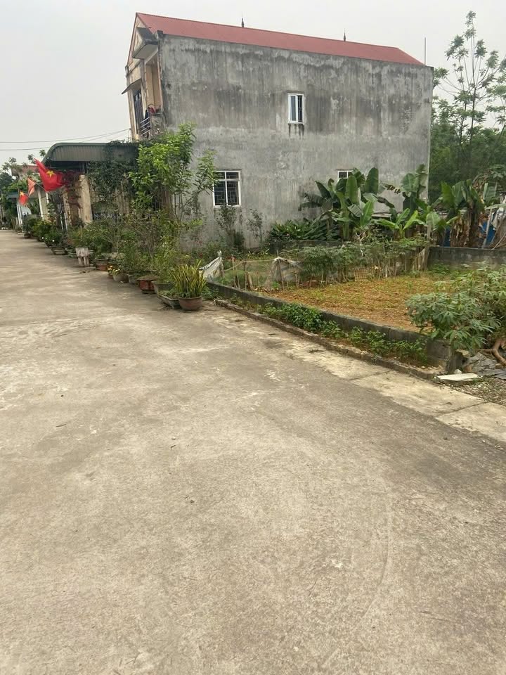 Đất nền Hòa Thạch 135m² giá chỉ 2x triệu - Cơ hội đầu tư hấp dẫn!