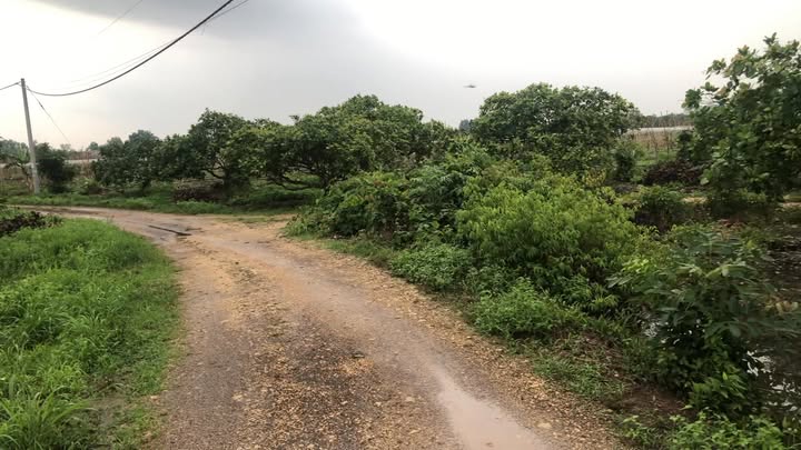 Đất nền Sông Ray, Cẩm Mỹ 1500m² giá 2.3 tỷ - Sổ đỏ chính chủ, thương lượng nhẹ!