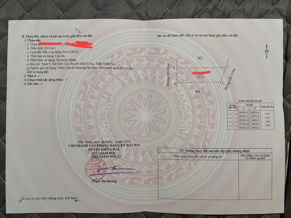 Đất 2 mặt tiền xóm 5 Diễn Cát 203,4m² giá 3 tỷ - Cơ hội đầu tư hiếm có!