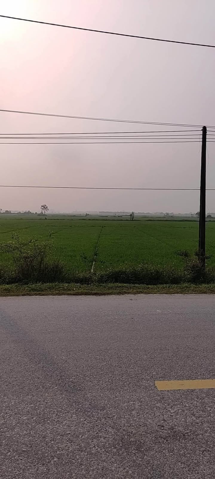 Đất nền mặt đường Tỉnh lộ 517, Đông Sơn, Thanh Hóa 140m² - Vị trí kinh doanh đỉnh cao!