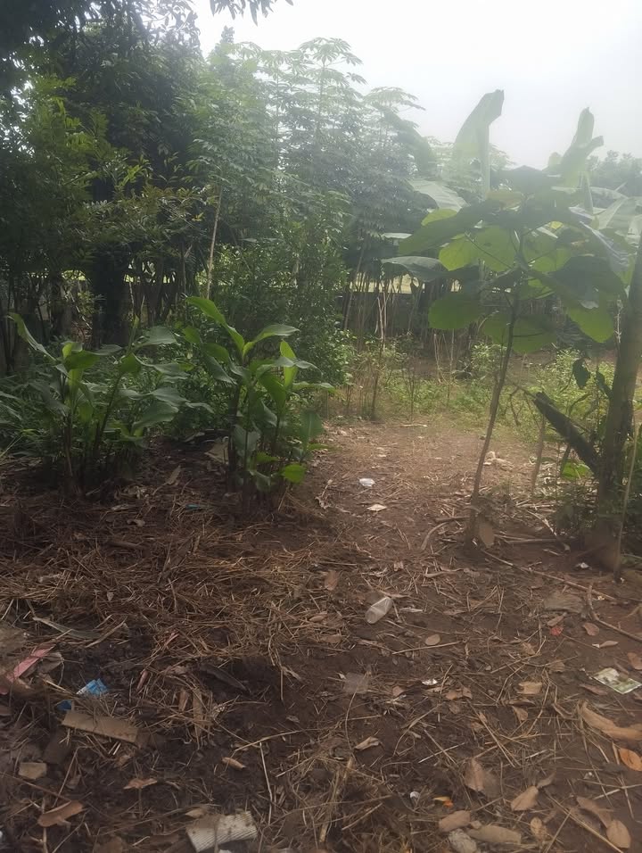 Đất nền chính chủ 230m² tại phường Dân Chủ, TP Hòa Bình - Giá chỉ vài trăm triệu!