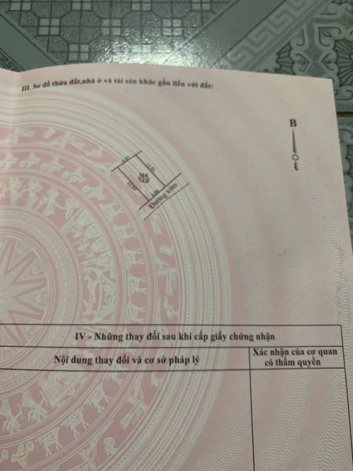 Đất thổ cư Hoàng Diệu, Gia Lộc 74m² giá 900 triệu - Cơ hội đầu tư nhanh!