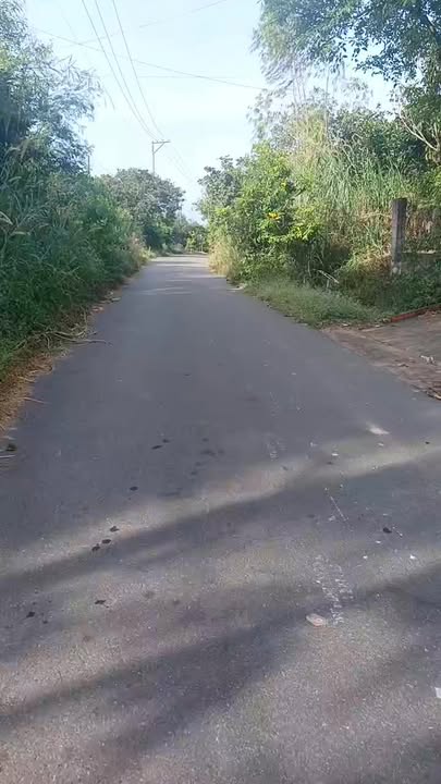 Đất nền Suối Rao, Châu Đức 1,9 sào - Đường nhựa, giá 1,5 tỷ!