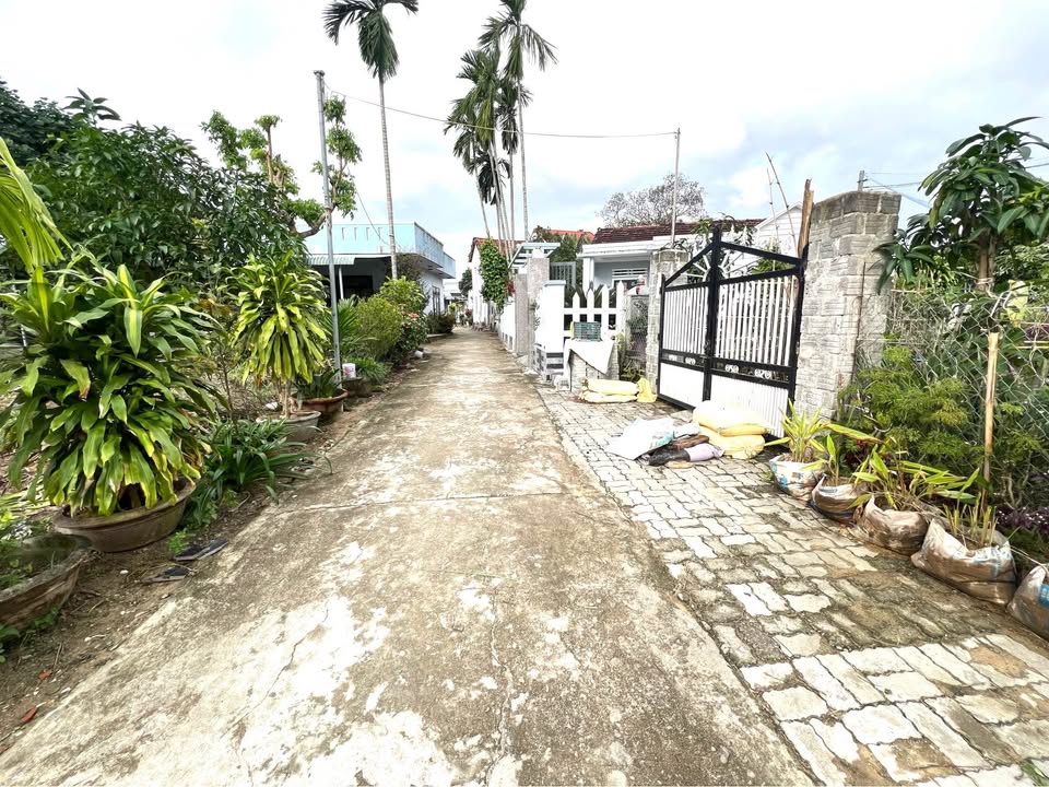 Đất nền Hòa Tiến Đà Nẵng 125m² - Gần sân bóng, vị trí đẹp!