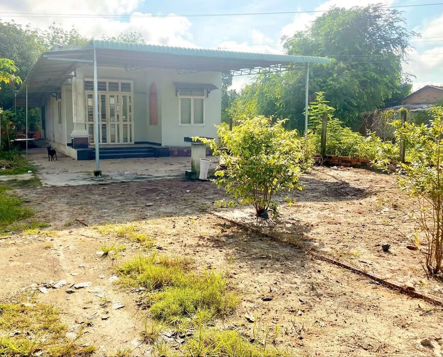 Đất nền Khu Phố 5 Thị Trấn Tân Biên 500m² giá 1.6 tỷ - Cơ hội đầu tư hấp dẫn!